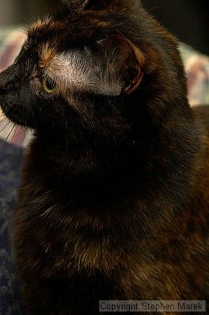 1020409145

Filename: srm_20050618_195852_9_std.jpg
Aperture: f/7.1
Shutter Speed: 1/200
Body: Canon EOS 20D
Lens: Canon EF 80-200mm f/2.8 L