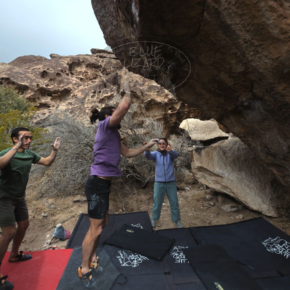 

Filename: SRM_20260207_1154365.jpg
Aperture: f/5.6
Shutter Speed: 1/800
Body: Canon EOS R6
Lens: Canon EF 16-35mm f/2.8 L