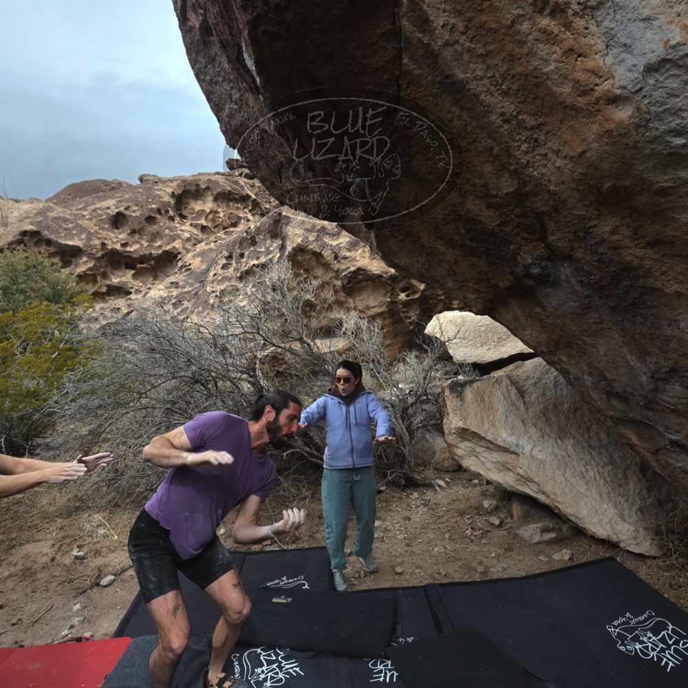 

Filename: SRM_20260207_1204500.jpg
Aperture: f/5.6
Shutter Speed: 1/800
Body: Canon EOS R6
Lens: Canon EF 16-35mm f/2.8 L