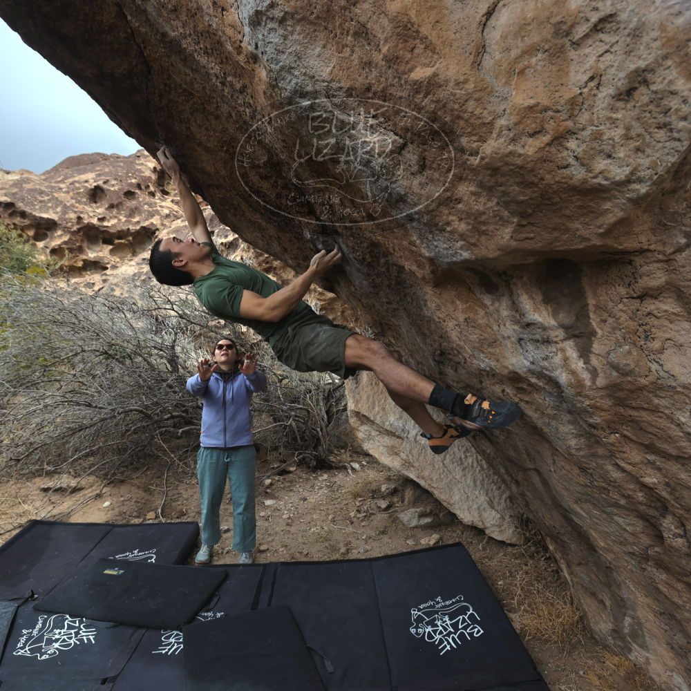 

Filename: SRM_20260207_1206340.jpg
Aperture: f/5.6
Shutter Speed: 1/800
Body: Canon EOS R6
Lens: Canon EF 16-35mm f/2.8 L