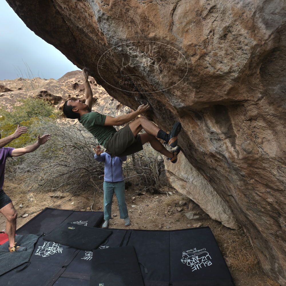 

Filename: SRM_20260207_1206380.jpg
Aperture: f/5.6
Shutter Speed: 1/800
Body: Canon EOS R6
Lens: Canon EF 16-35mm f/2.8 L