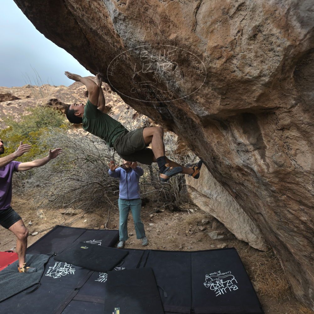 

Filename: SRM_20260207_1206400.jpg
Aperture: f/5.6
Shutter Speed: 1/800
Body: Canon EOS R6
Lens: Canon EF 16-35mm f/2.8 L