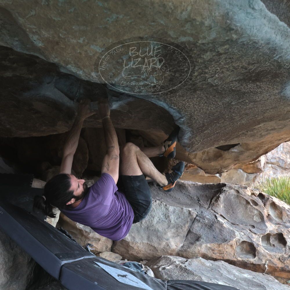 

Filename: SRM_20260207_1238400.jpg
Aperture: f/5.6
Shutter Speed: 1/800
Body: Canon EOS R6
Lens: Canon EF 16-35mm f/2.8 L