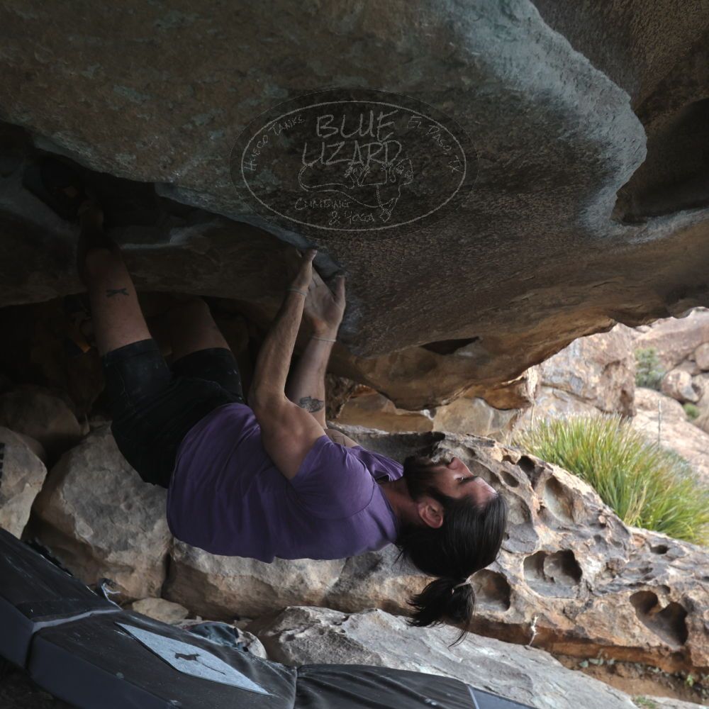 

Filename: SRM_20260207_1238470.jpg
Aperture: f/5.6
Shutter Speed: 1/400
Body: Canon EOS R6
Lens: Canon EF 16-35mm f/2.8 L