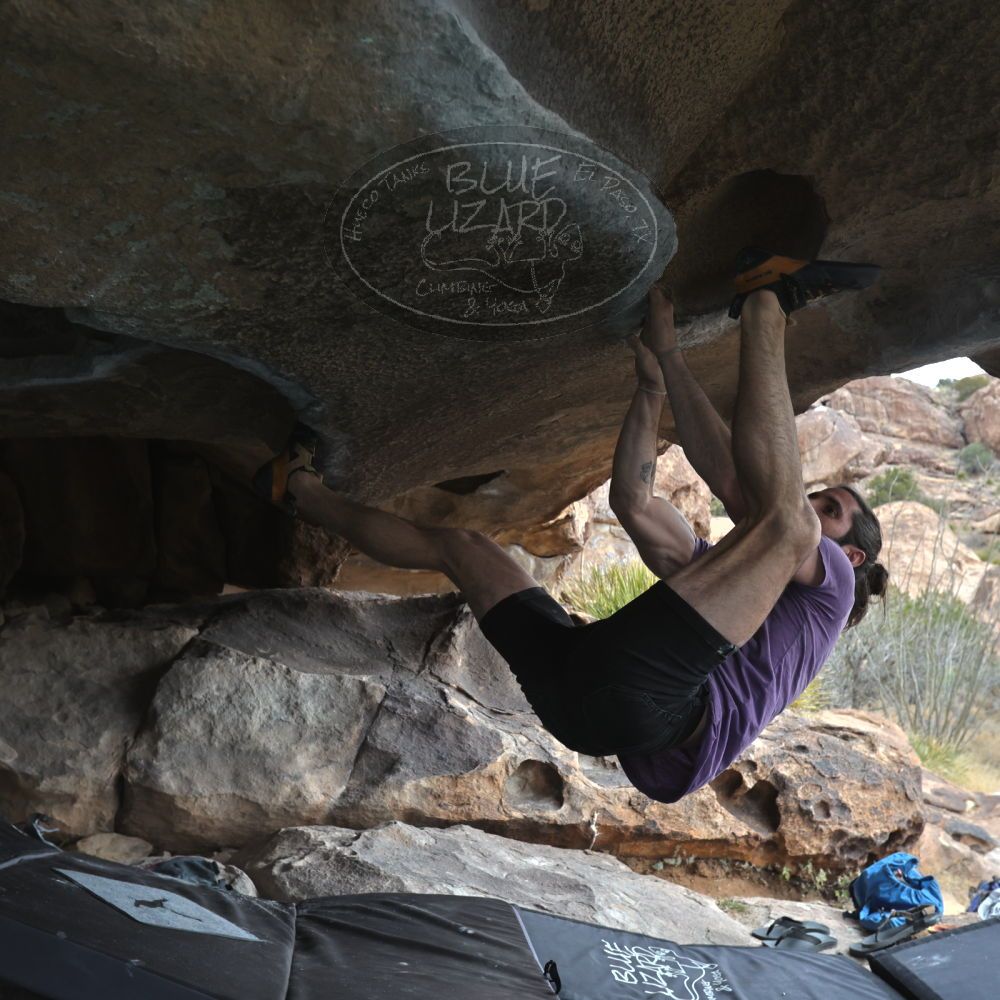 

Filename: SRM_20260207_1238520.jpg
Aperture: f/5.6
Shutter Speed: 1/400
Body: Canon EOS R6
Lens: Canon EF 16-35mm f/2.8 L