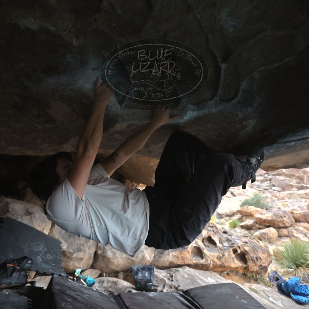 

Filename: SRM_20260207_1252360.jpg
Aperture: f/4.5
Shutter Speed: 1/400
Body: Canon EOS R6
Lens: Canon EF 16-35mm f/2.8 L