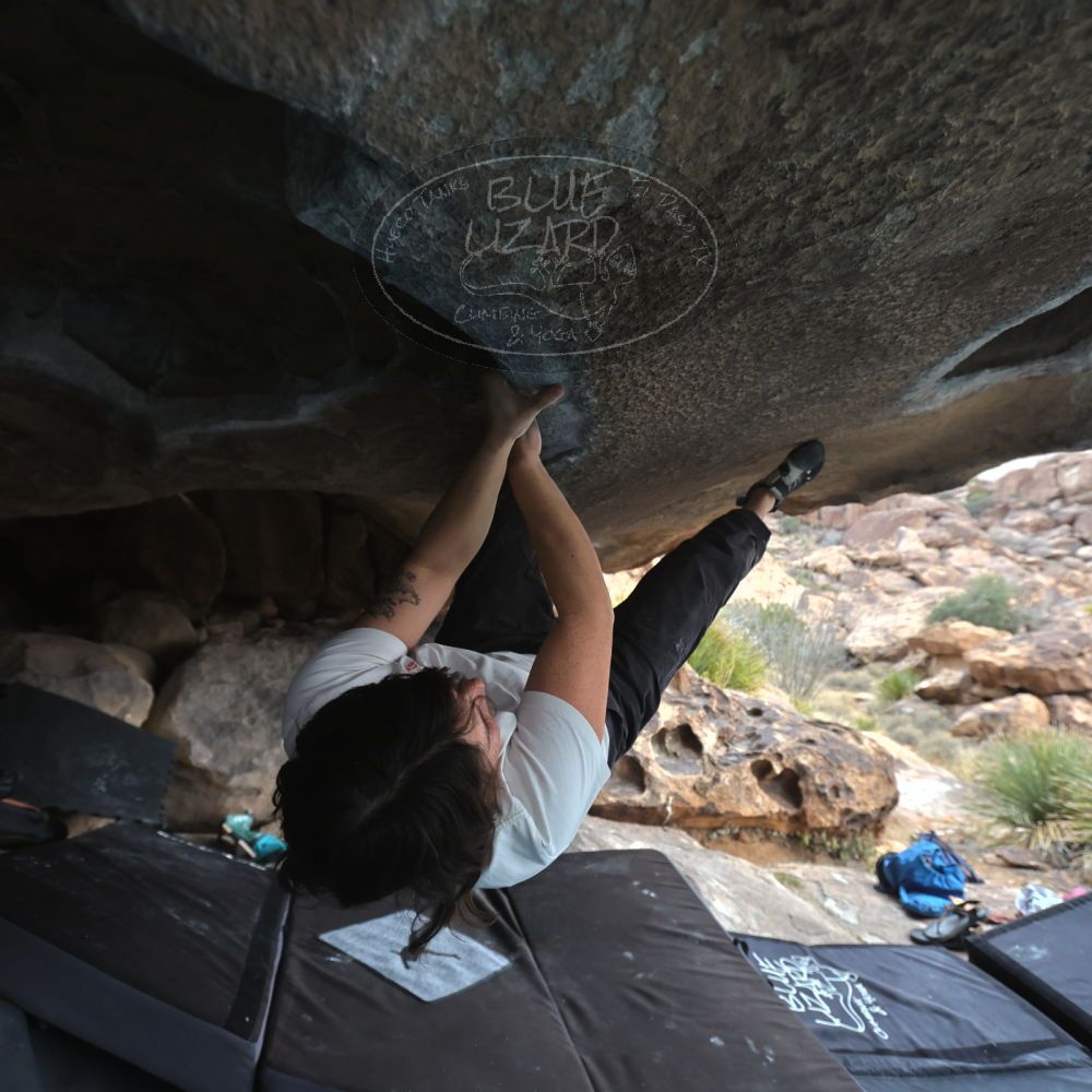 

Filename: SRM_20260207_1252410.jpg
Aperture: f/4.5
Shutter Speed: 1/400
Body: Canon EOS R6
Lens: Canon EF 16-35mm f/2.8 L