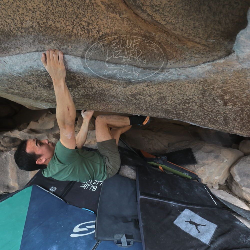 

Filename: SRM_20260207_1315271.jpg
Aperture: f/4.5
Shutter Speed: 1/400
Body: Canon EOS R6
Lens: Canon EF 16-35mm f/2.8 L