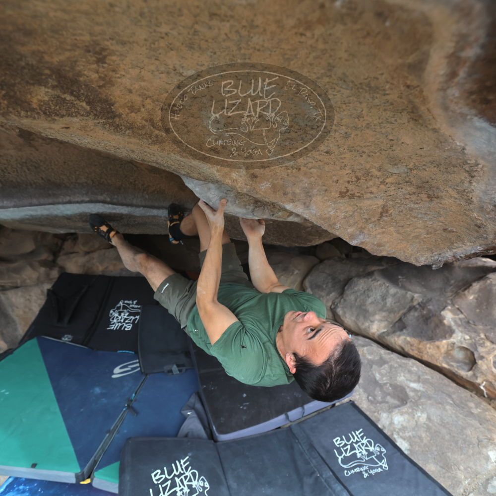 

Filename: SRM_20260207_1315470.jpg
Aperture: f/4.5
Shutter Speed: 1/400
Body: Canon EOS R6
Lens: Canon EF 16-35mm f/2.8 L