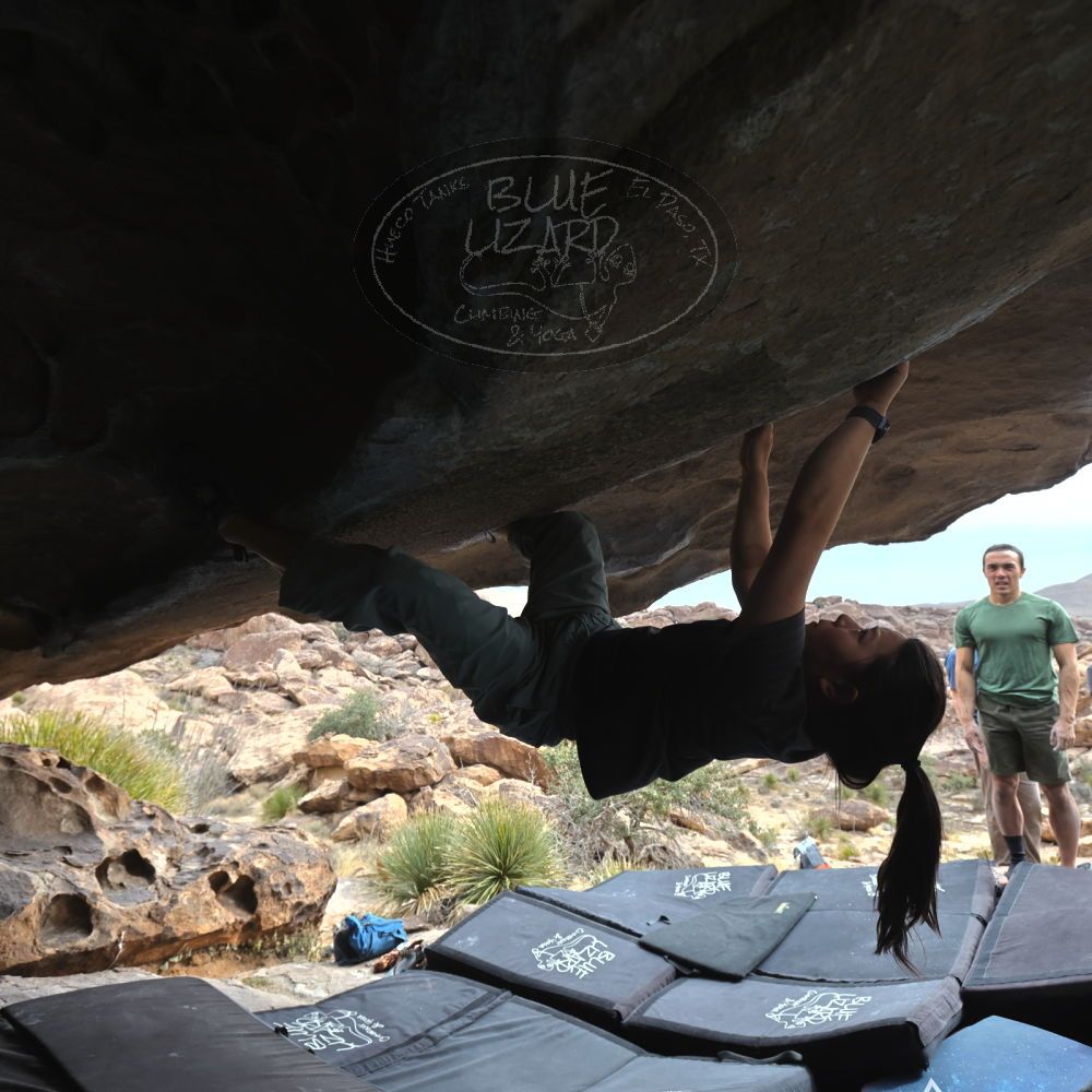 

Filename: SRM_20260207_1322430.jpg
Aperture: f/5.0
Shutter Speed: 1/400
Body: Canon EOS R6
Lens: Canon EF 16-35mm f/2.8 L