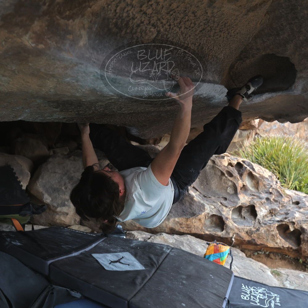 

Filename: SRM_20260207_1344510.jpg
Aperture: f/5.0
Shutter Speed: 1/400
Body: Canon EOS R6
Lens: Canon EF 16-35mm f/2.8 L