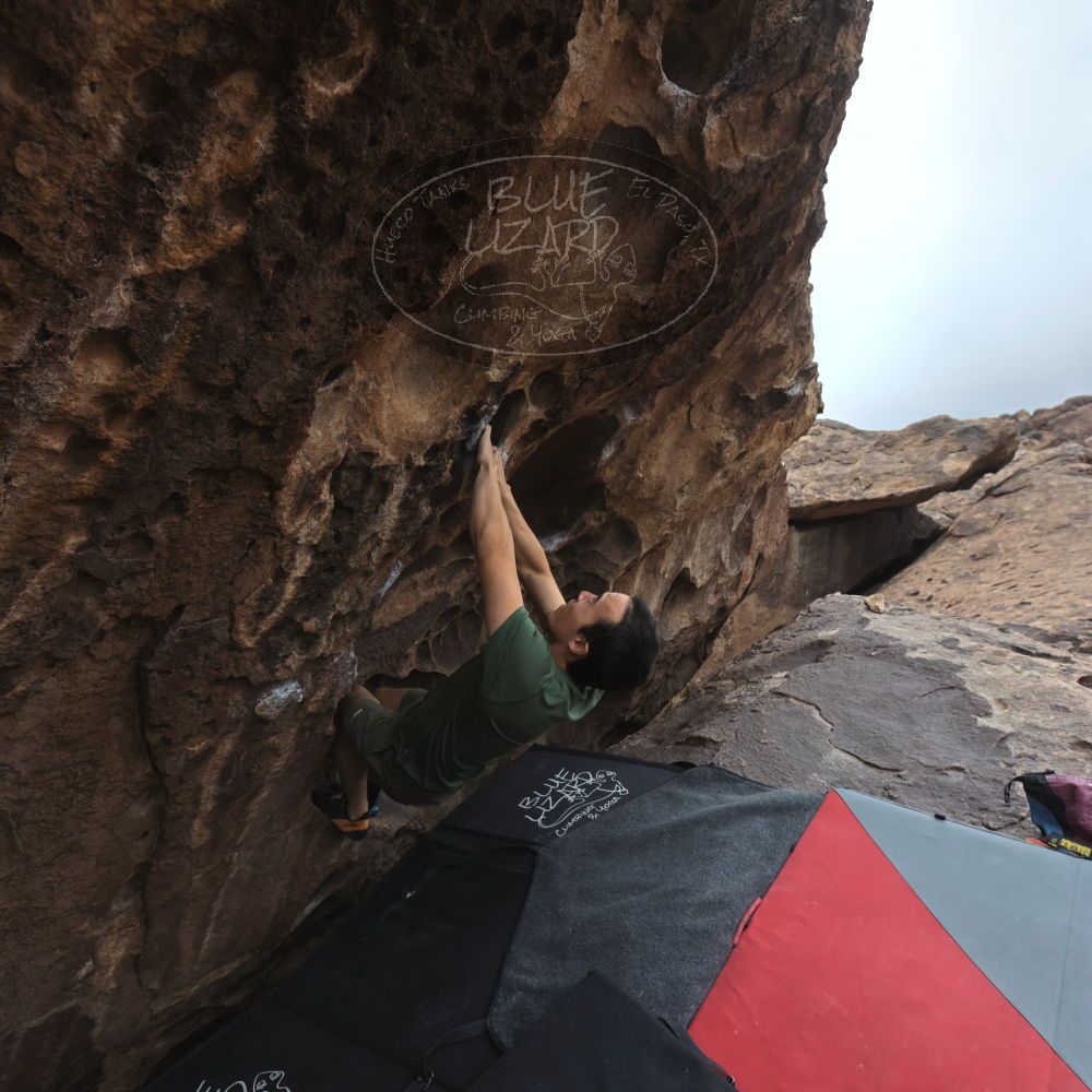 

Filename: SRM_20260207_1516110.jpg
Aperture: f/5.0
Shutter Speed: 1/400
Body: Canon EOS R6
Lens: Canon EF 16-35mm f/2.8 L