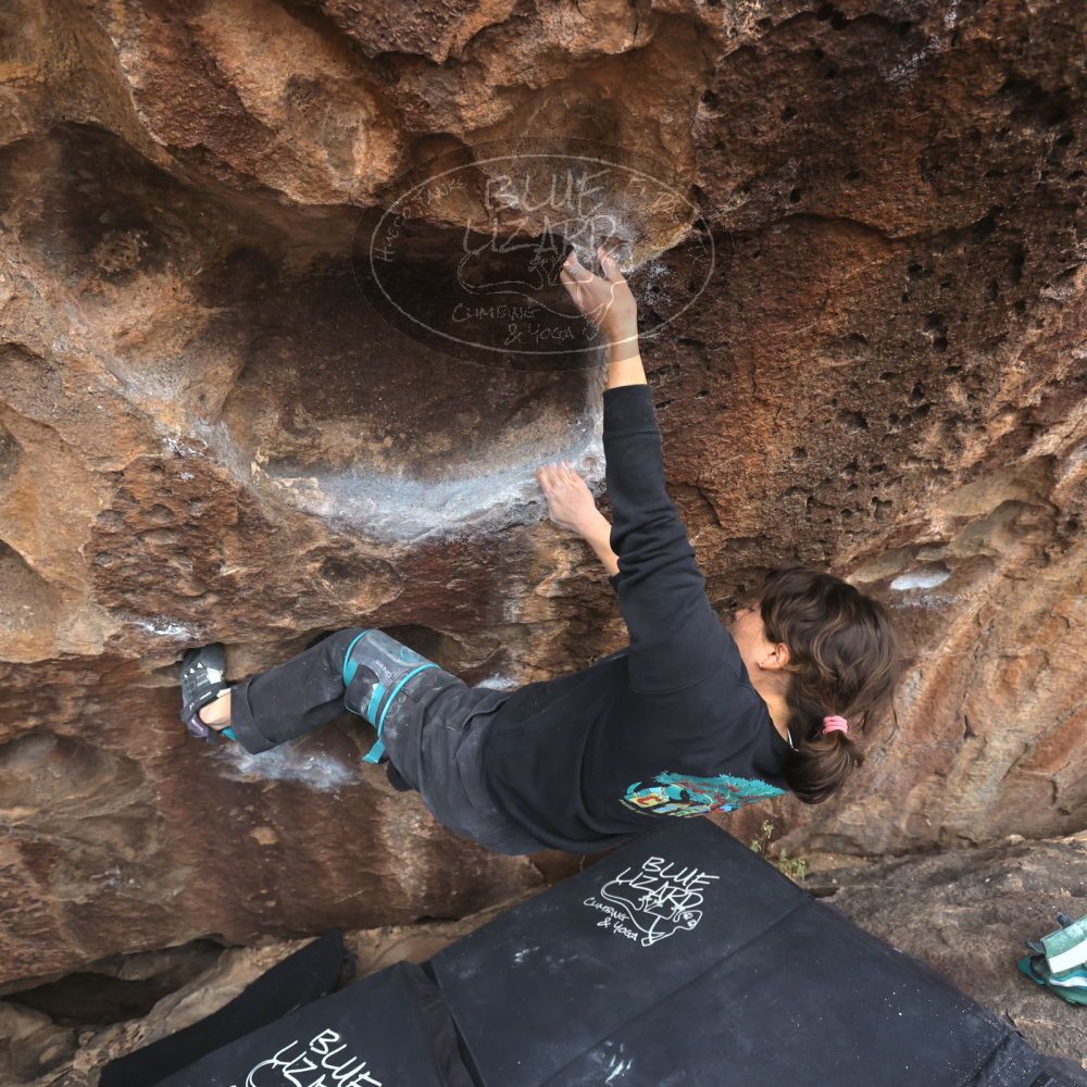 

Filename: SRM_20260207_1545330.jpg
Aperture: f/4.5
Shutter Speed: 1/400
Body: Canon EOS R6
Lens: Canon EF 16-35mm f/2.8 L