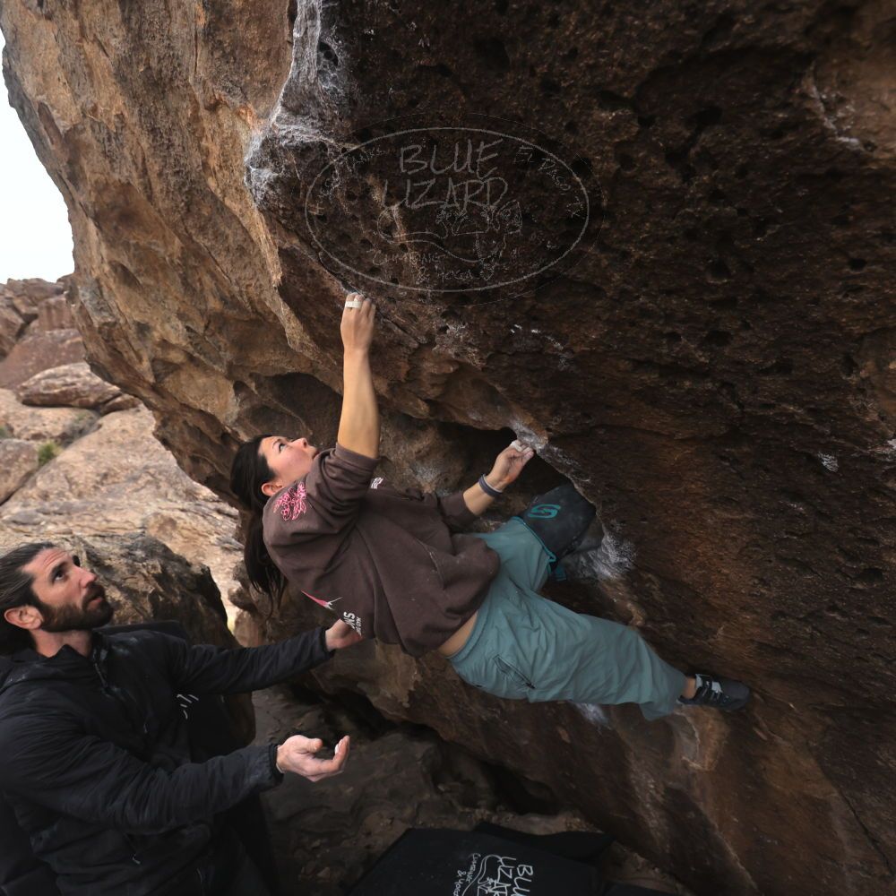 

Filename: SRM_20260207_1602070.jpg
Aperture: f/4.5
Shutter Speed: 1/400
Body: Canon EOS R6
Lens: Canon EF 16-35mm f/2.8 L