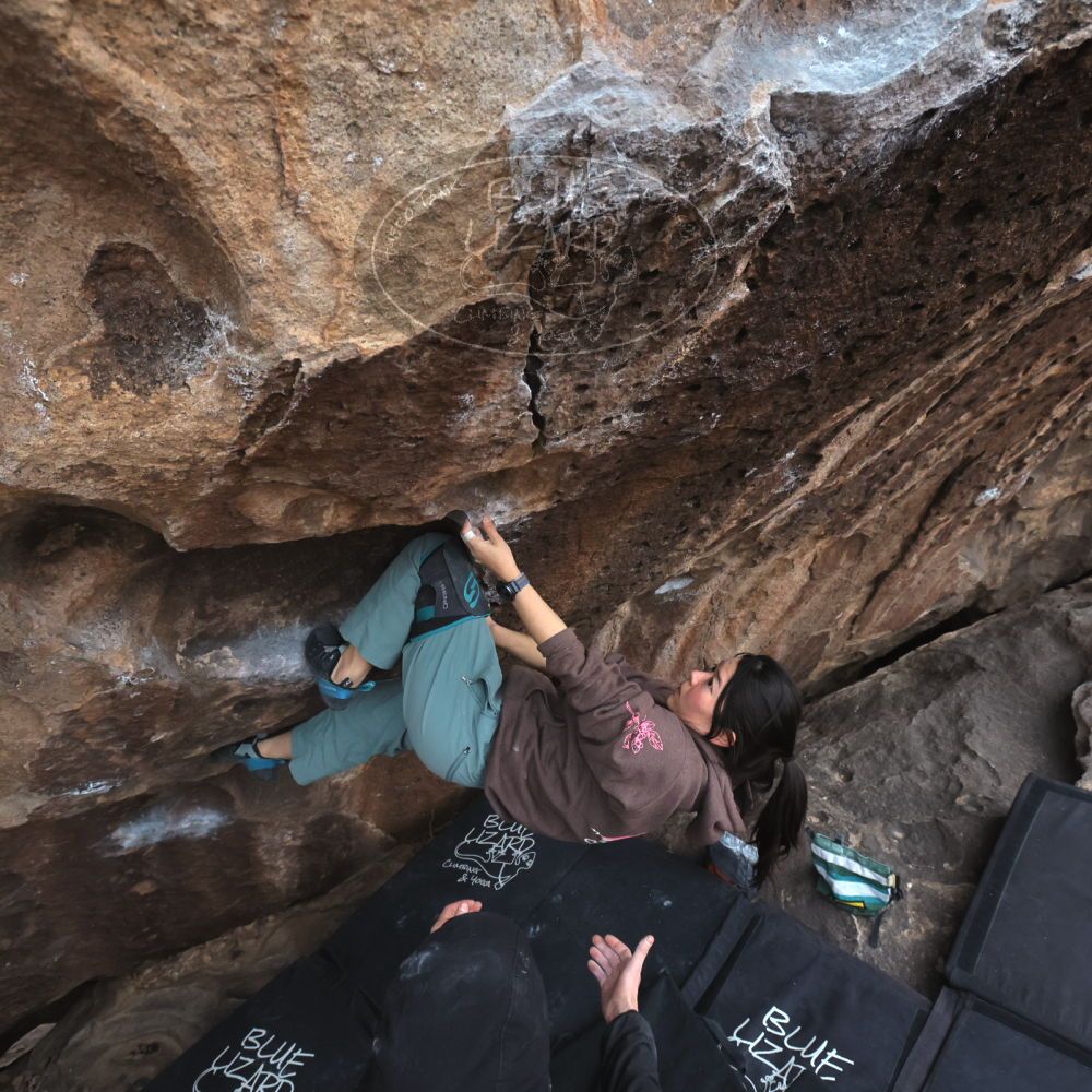 

Filename: SRM_20260207_1648400.jpg
Aperture: f/5.6
Shutter Speed: 1/400
Body: Canon EOS R6
Lens: Canon EF 16-35mm f/2.8 L