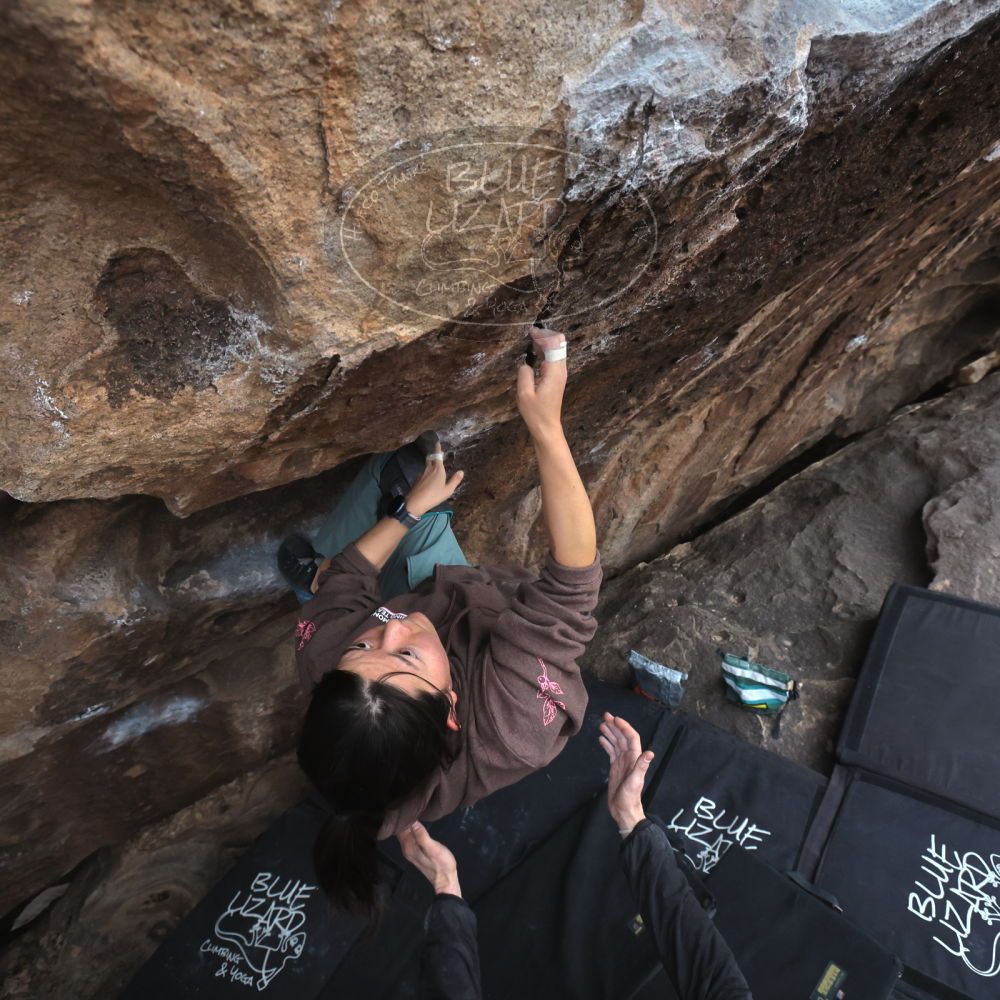 

Filename: SRM_20260207_1648430.jpg
Aperture: f/5.6
Shutter Speed: 1/400
Body: Canon EOS R6
Lens: Canon EF 16-35mm f/2.8 L