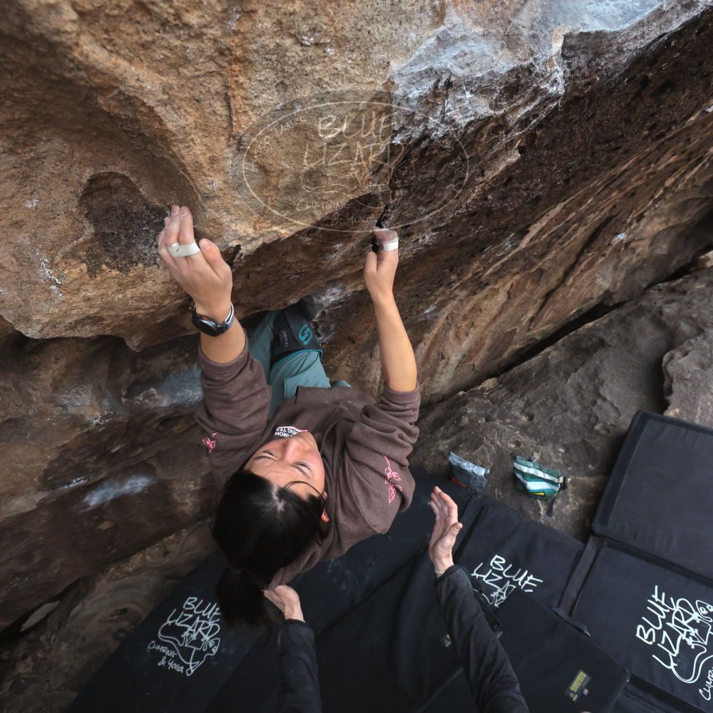 

Filename: SRM_20260207_1648440.jpg
Aperture: f/5.6
Shutter Speed: 1/400
Body: Canon EOS R6
Lens: Canon EF 16-35mm f/2.8 L