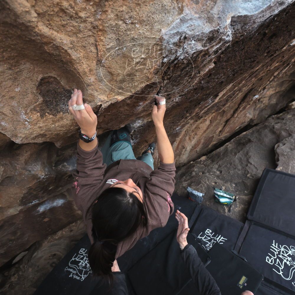 

Filename: SRM_20260207_1648450.jpg
Aperture: f/5.6
Shutter Speed: 1/400
Body: Canon EOS R6
Lens: Canon EF 16-35mm f/2.8 L