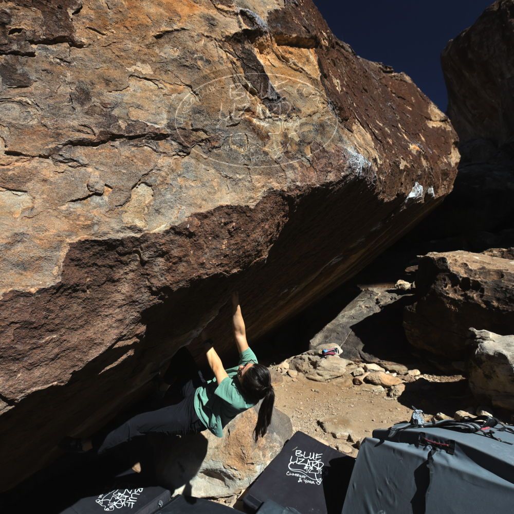 

Filename: SRM_20260208_1128380.jpg
Aperture: f/5.6
Shutter Speed: 1/1000
Body: Canon EOS R6
Lens: Canon EF 16-35mm f/2.8 L