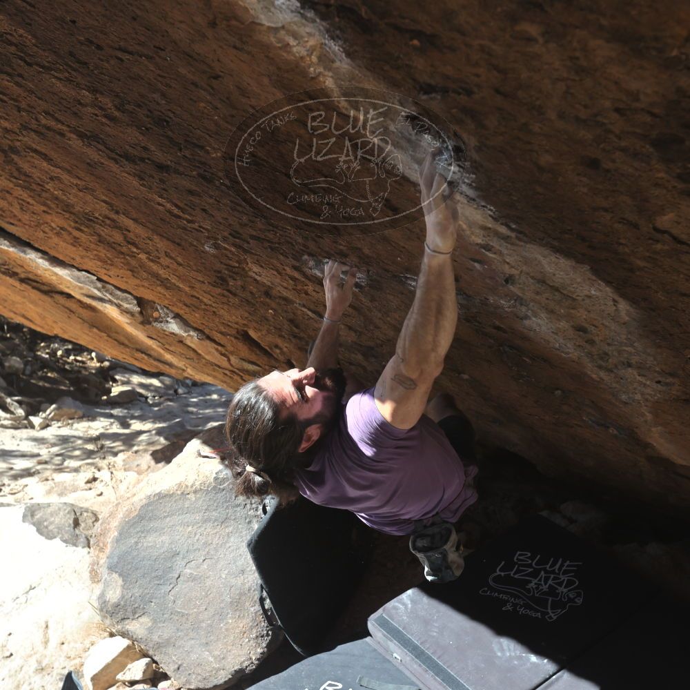 

Filename: SRM_20260208_1154380.jpg
Aperture: f/5.6
Shutter Speed: 1/1000
Body: Canon EOS R6
Lens: Canon EF 16-35mm f/2.8 L