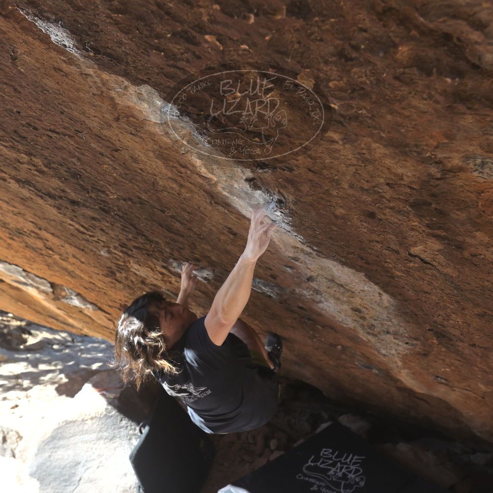 

Filename: SRM_20260208_1159470.jpg
Aperture: f/5.6
Shutter Speed: 1/1000
Body: Canon EOS R6
Lens: Canon EF 16-35mm f/2.8 L