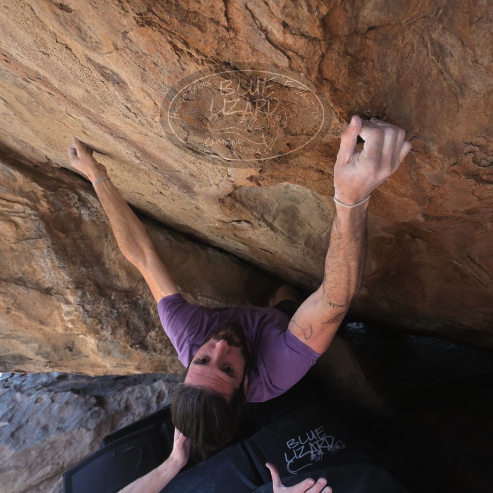 

Filename: SRM_20260208_1251440.jpg
Aperture: f/5.6
Shutter Speed: 1/400
Body: Canon EOS R6
Lens: Canon EF 16-35mm f/2.8 L