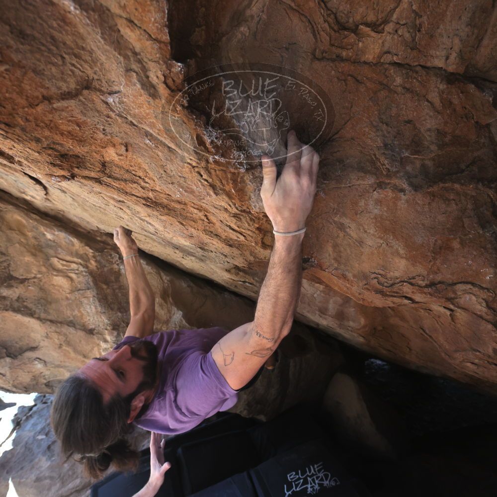 

Filename: SRM_20260208_1251510.jpg
Aperture: f/5.6
Shutter Speed: 1/400
Body: Canon EOS R6
Lens: Canon EF 16-35mm f/2.8 L