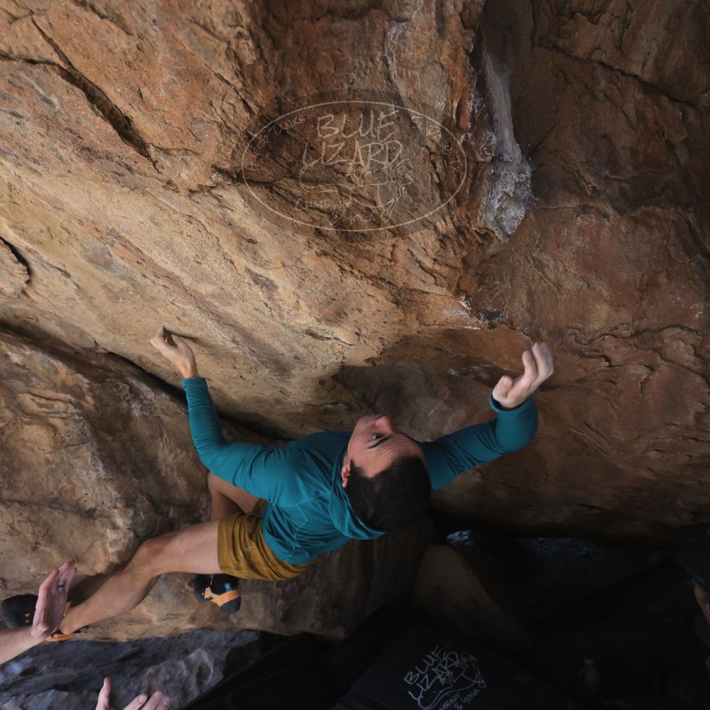 

Filename: SRM_20260208_1316501.jpg
Aperture: f/5.6
Shutter Speed: 1/400
Body: Canon EOS R6
Lens: Canon EF 16-35mm f/2.8 L