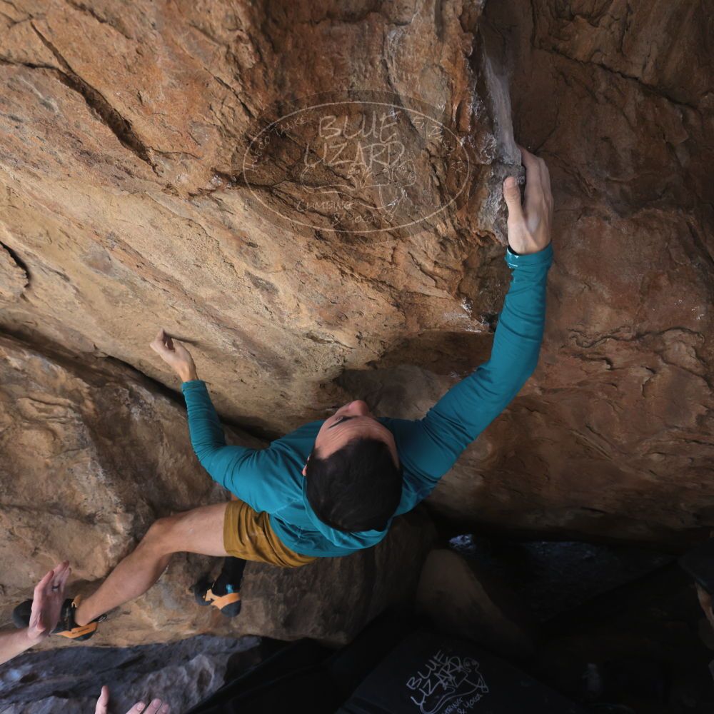 

Filename: SRM_20260208_1316510.jpg
Aperture: f/5.6
Shutter Speed: 1/400
Body: Canon EOS R6
Lens: Canon EF 16-35mm f/2.8 L