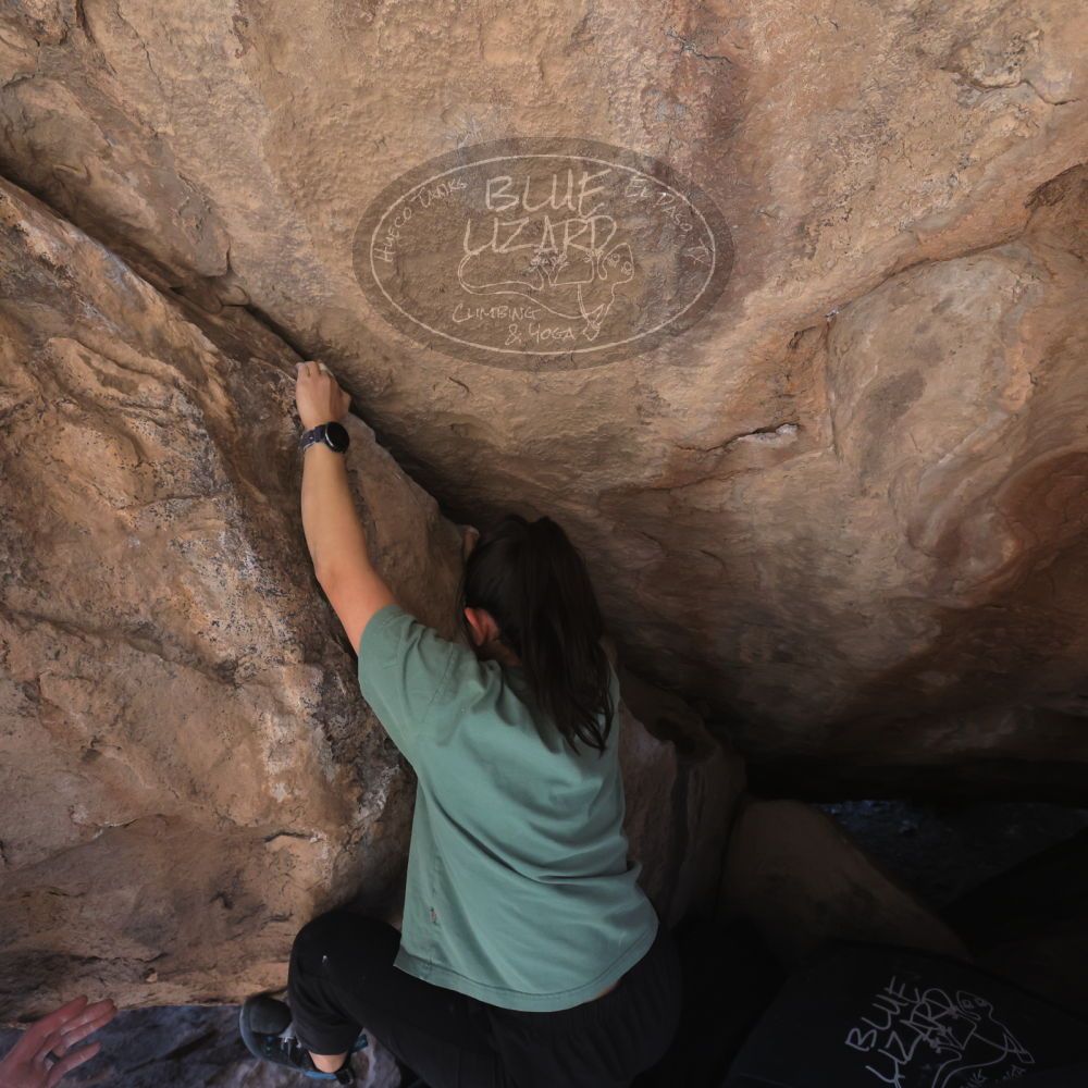 

Filename: SRM_20260208_1319550.jpg
Aperture: f/5.6
Shutter Speed: 1/400
Body: Canon EOS R6
Lens: Canon EF 16-35mm f/2.8 L