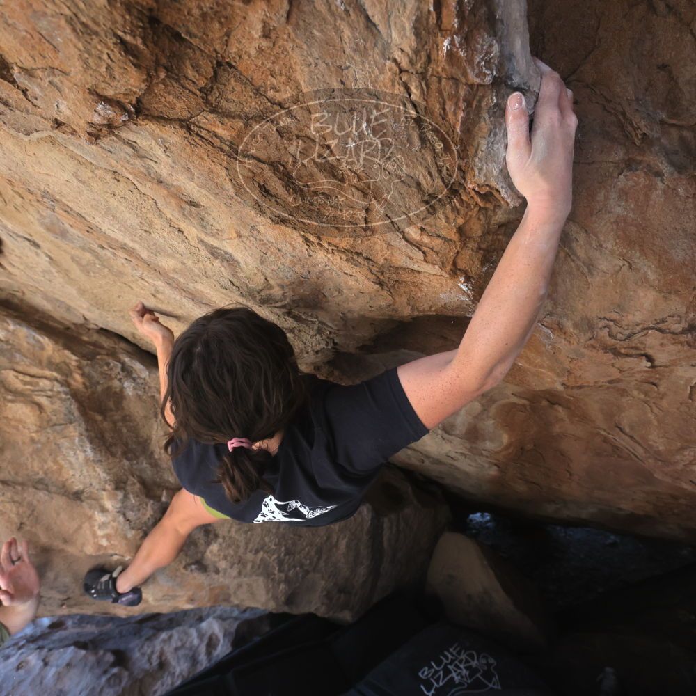 

Filename: SRM_20260208_1324320.jpg
Aperture: f/5.6
Shutter Speed: 1/400
Body: Canon EOS R6
Lens: Canon EF 16-35mm f/2.8 L