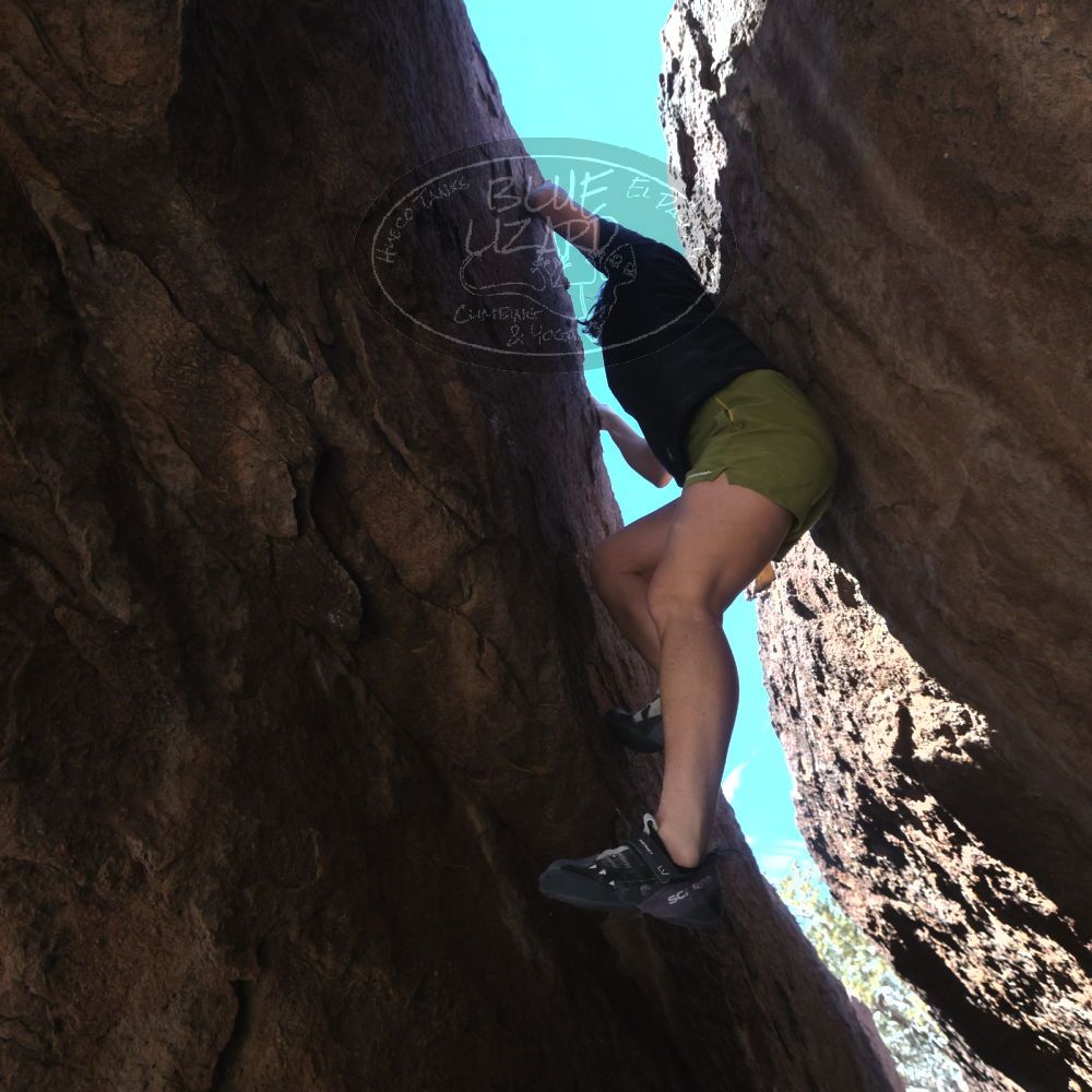 

Filename: SRM_20260208_1348270.jpg
Aperture: f/5.6
Shutter Speed: 1/640
Body: Canon EOS R6
Lens: Canon EF 16-35mm f/2.8 L