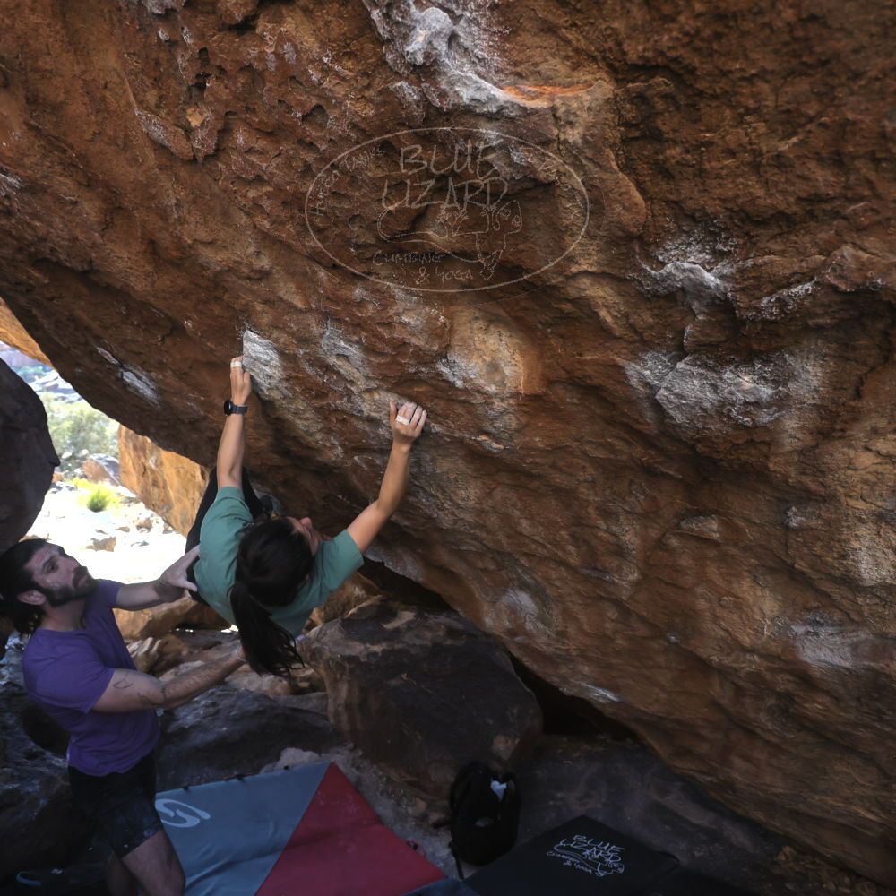 

Filename: SRM_20260208_1408020.jpg
Aperture: f/4.0
Shutter Speed: 1/400
Body: Canon EOS R6
Lens: Canon EF 16-35mm f/2.8 L