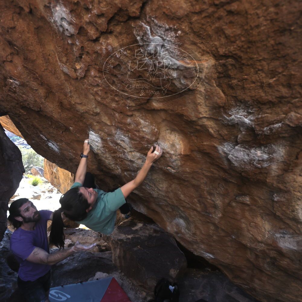 

Filename: SRM_20260208_1408060.jpg
Aperture: f/4.0
Shutter Speed: 1/400
Body: Canon EOS R6
Lens: Canon EF 16-35mm f/2.8 L