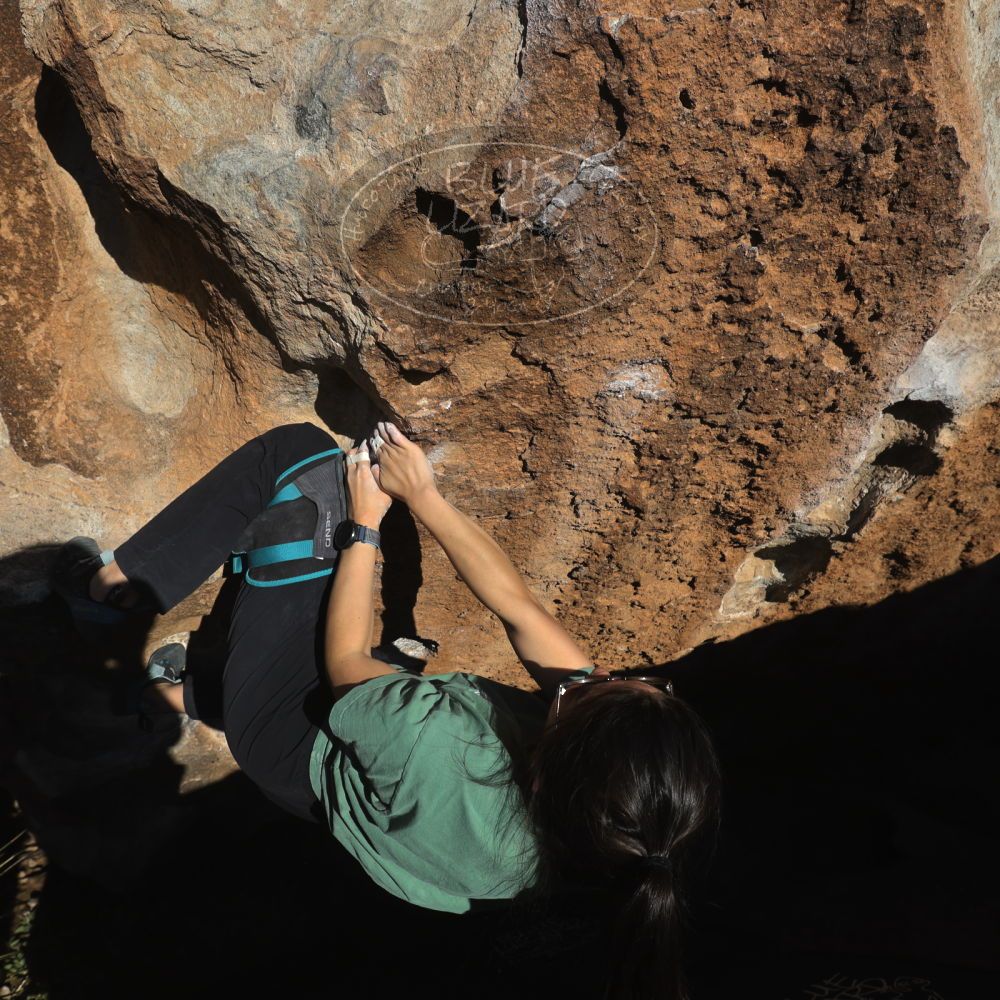 

Filename: SRM_20260208_1620180.jpg
Aperture: f/6.3
Shutter Speed: 1/500
Body: Canon EOS R6
Lens: Canon EF 16-35mm f/2.8 L