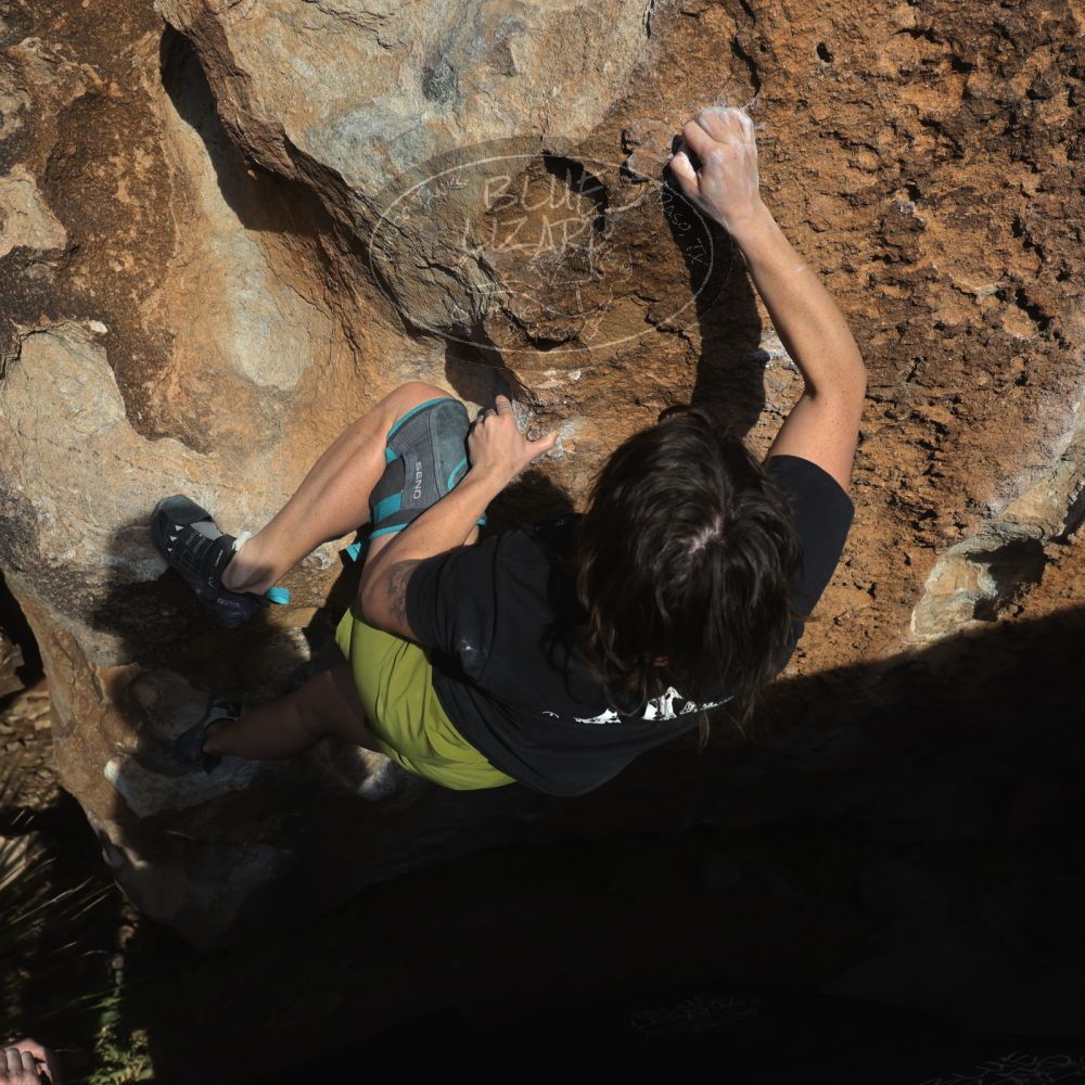 

Filename: SRM_20260208_1632230.jpg
Aperture: f/6.3
Shutter Speed: 1/500
Body: Canon EOS R6
Lens: Canon EF 16-35mm f/2.8 L