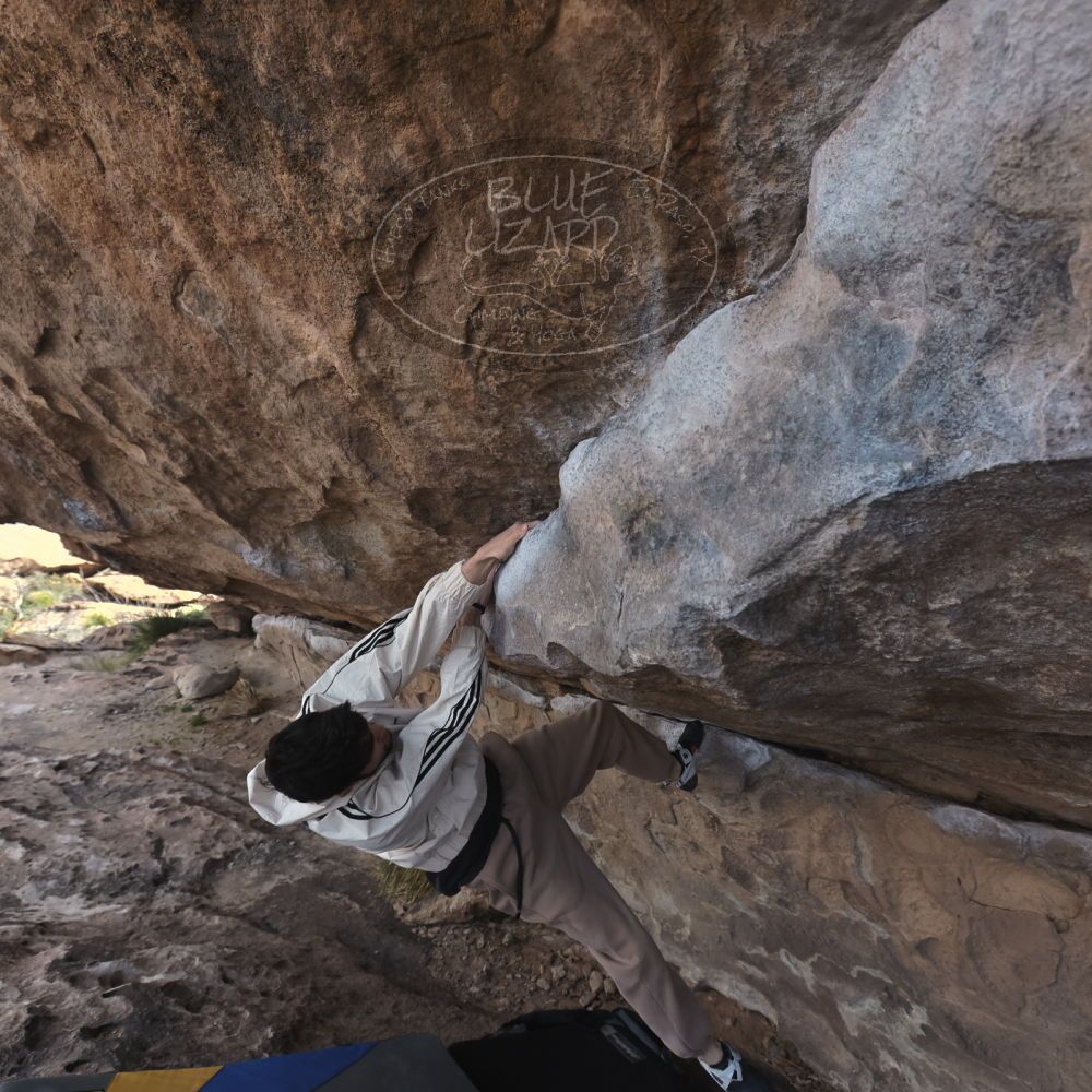 

Filename: SRM_20260307_0925101.jpg
Aperture: f/5.6
Shutter Speed: 1/500
Body: Canon EOS R6
Lens: Canon EF 16-35mm f/2.8 L