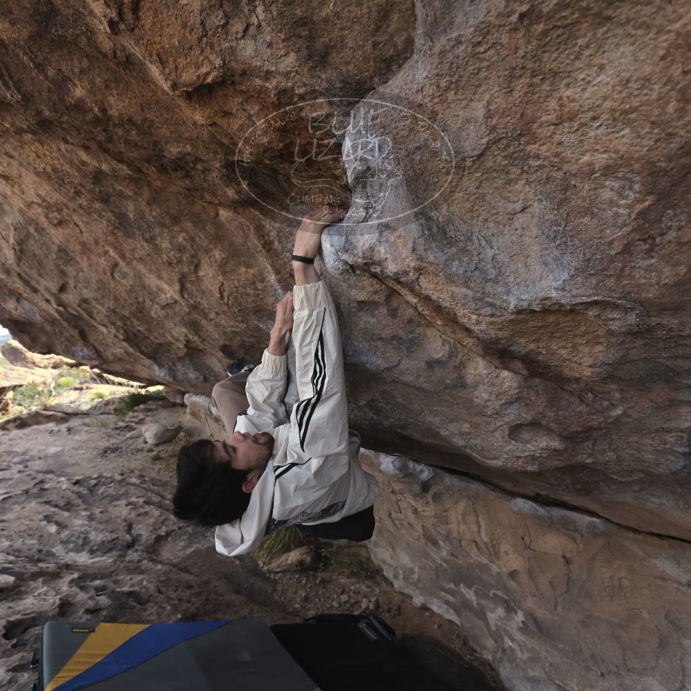 

Filename: SRM_20260307_0925340.jpg
Aperture: f/5.6
Shutter Speed: 1/500
Body: Canon EOS R6
Lens: Canon EF 16-35mm f/2.8 L