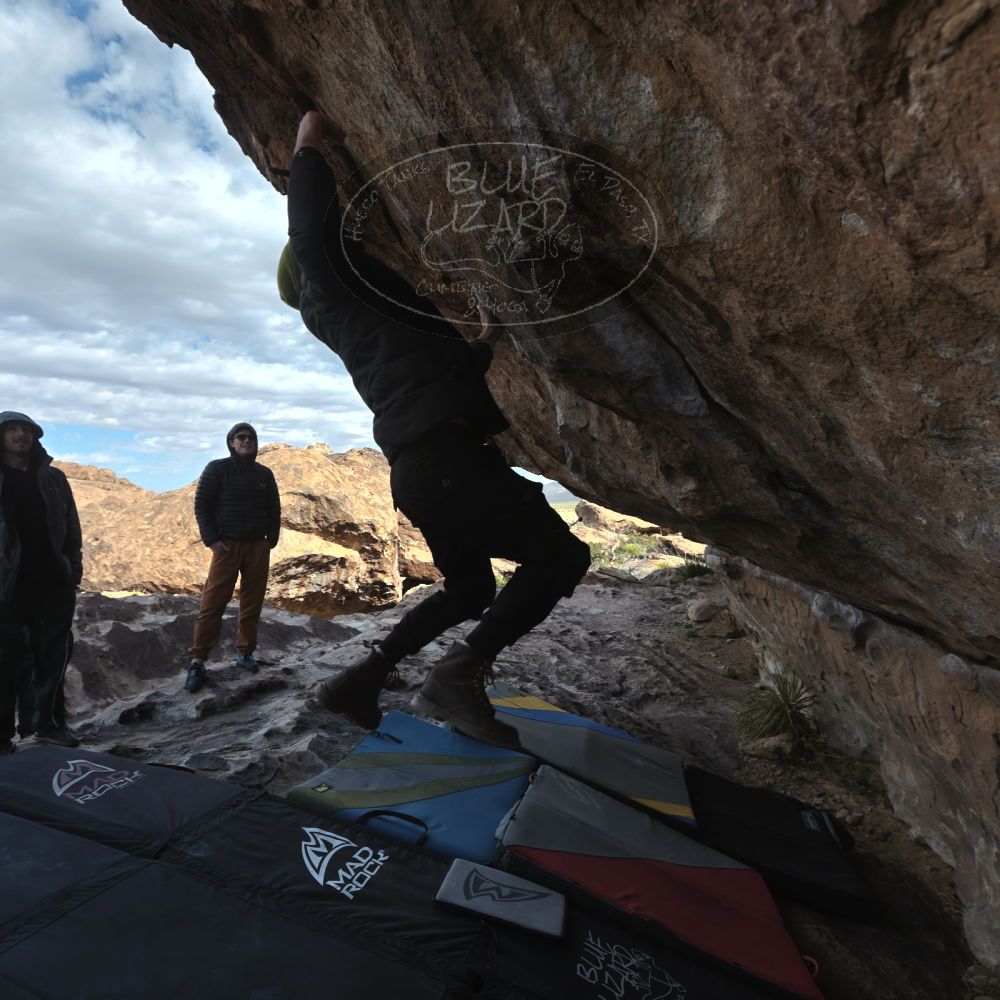 

Filename: SRM_20260307_0928101.jpg
Aperture: f/5.6
Shutter Speed: 1/500
Body: Canon EOS R6
Lens: Canon EF 16-35mm f/2.8 L