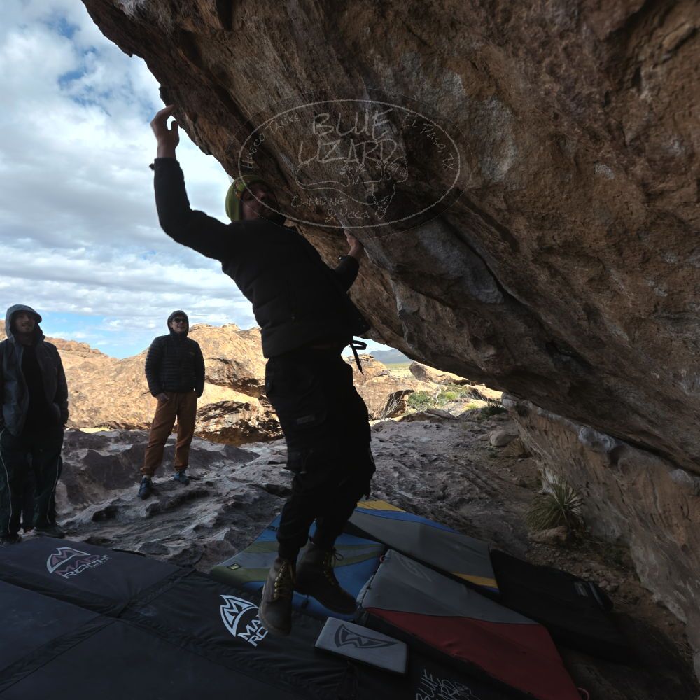 

Filename: SRM_20260307_0928102.jpg
Aperture: f/5.6
Shutter Speed: 1/500
Body: Canon EOS R6
Lens: Canon EF 16-35mm f/2.8 L