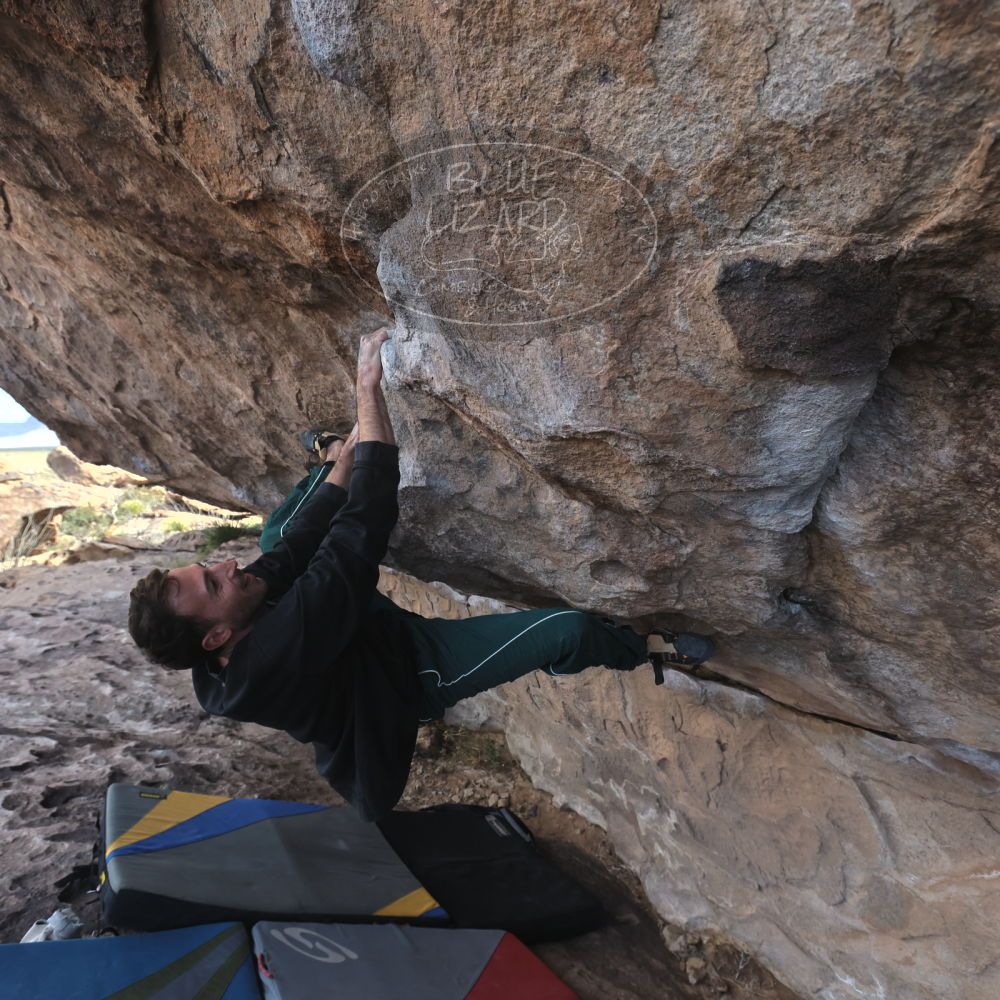 

Filename: SRM_20260307_0932450.jpg
Aperture: f/5.6
Shutter Speed: 1/500
Body: Canon EOS R6
Lens: Canon EF 16-35mm f/2.8 L