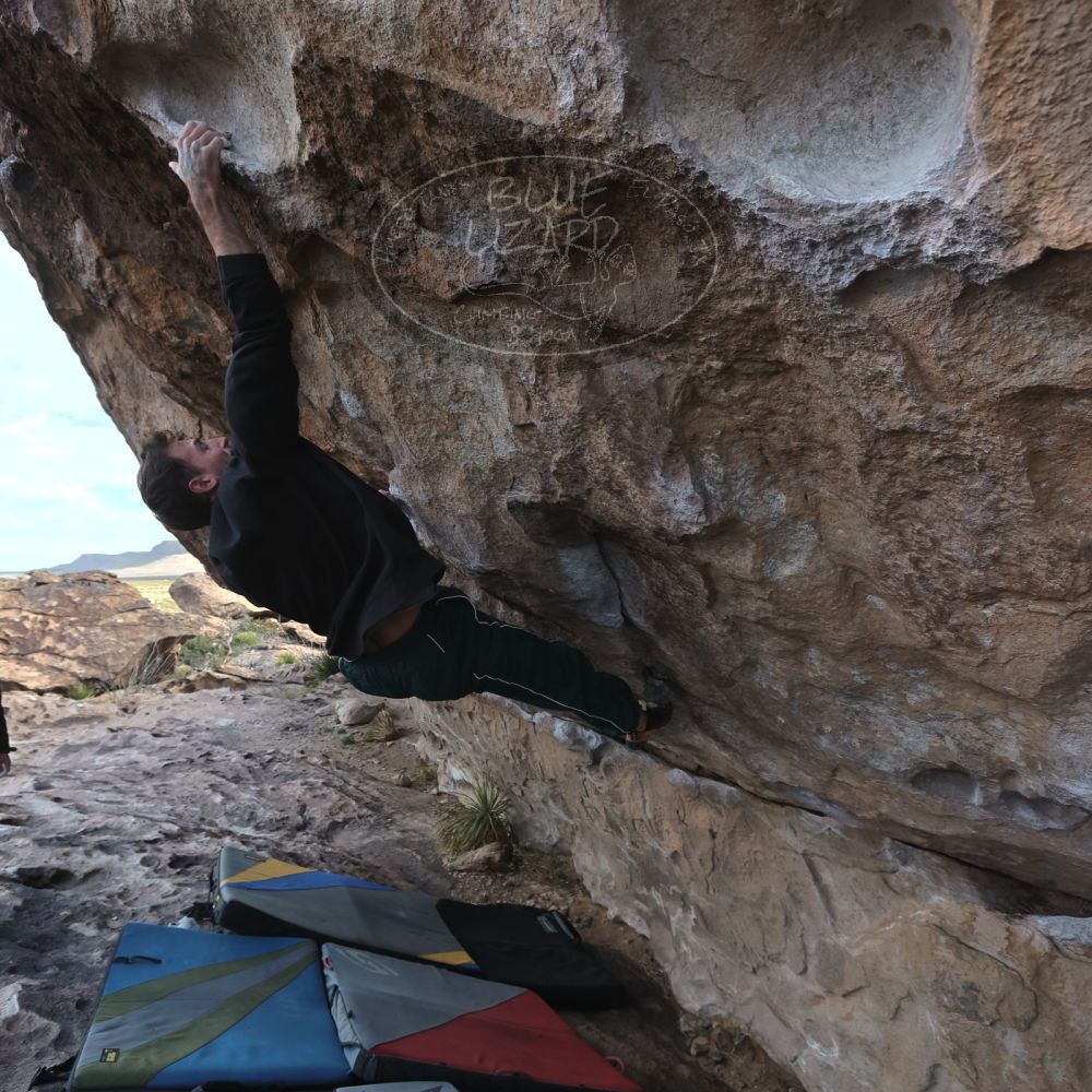 

Filename: SRM_20260307_0932580.jpg
Aperture: f/5.6
Shutter Speed: 1/500
Body: Canon EOS R6
Lens: Canon EF 16-35mm f/2.8 L