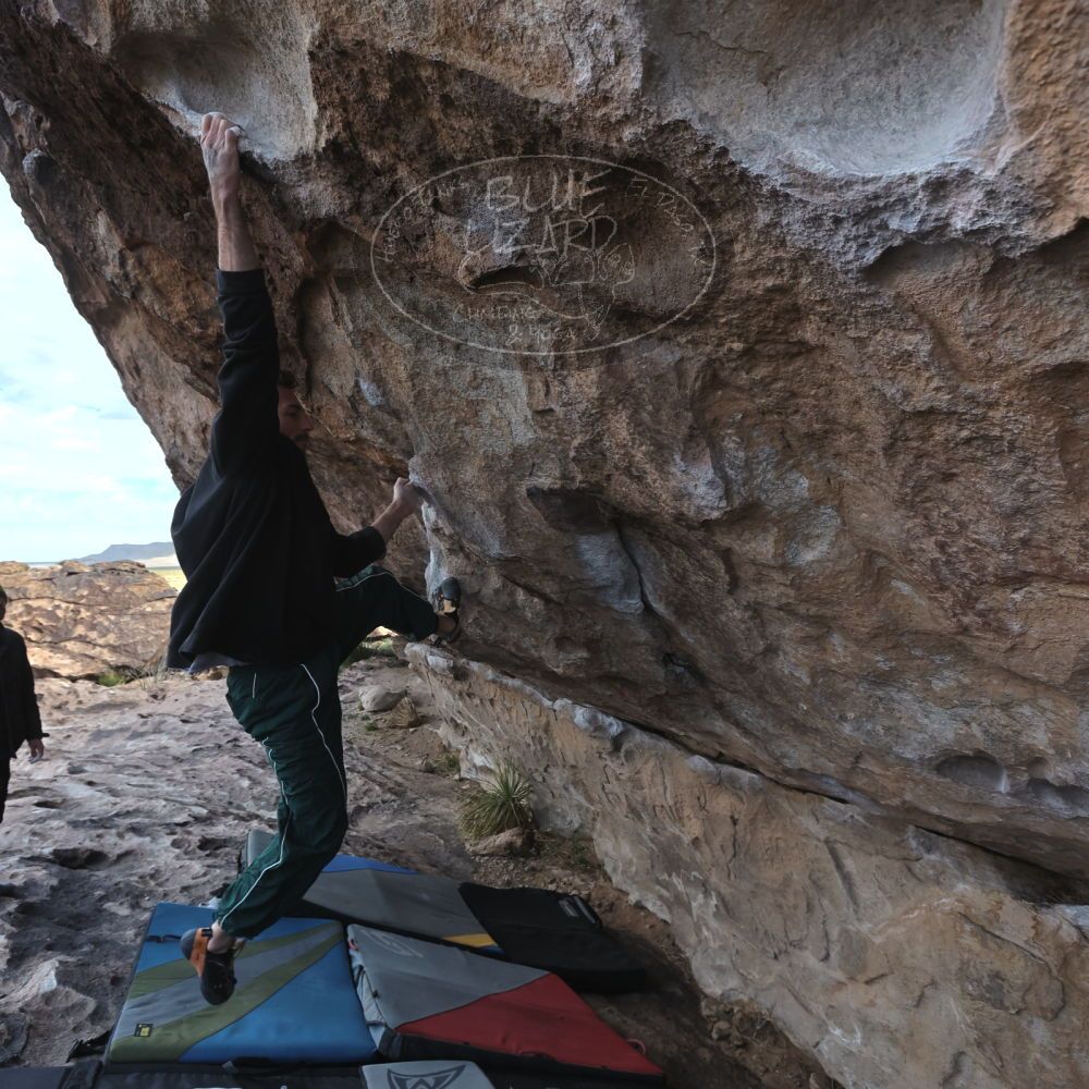 

Filename: SRM_20260307_0932581.jpg
Aperture: f/5.6
Shutter Speed: 1/500
Body: Canon EOS R6
Lens: Canon EF 16-35mm f/2.8 L