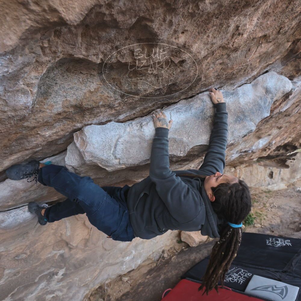 

Filename: SRM_20260307_0939530.jpg
Aperture: f/5.6
Shutter Speed: 1/500
Body: Canon EOS R6
Lens: Canon EF 16-35mm f/2.8 L