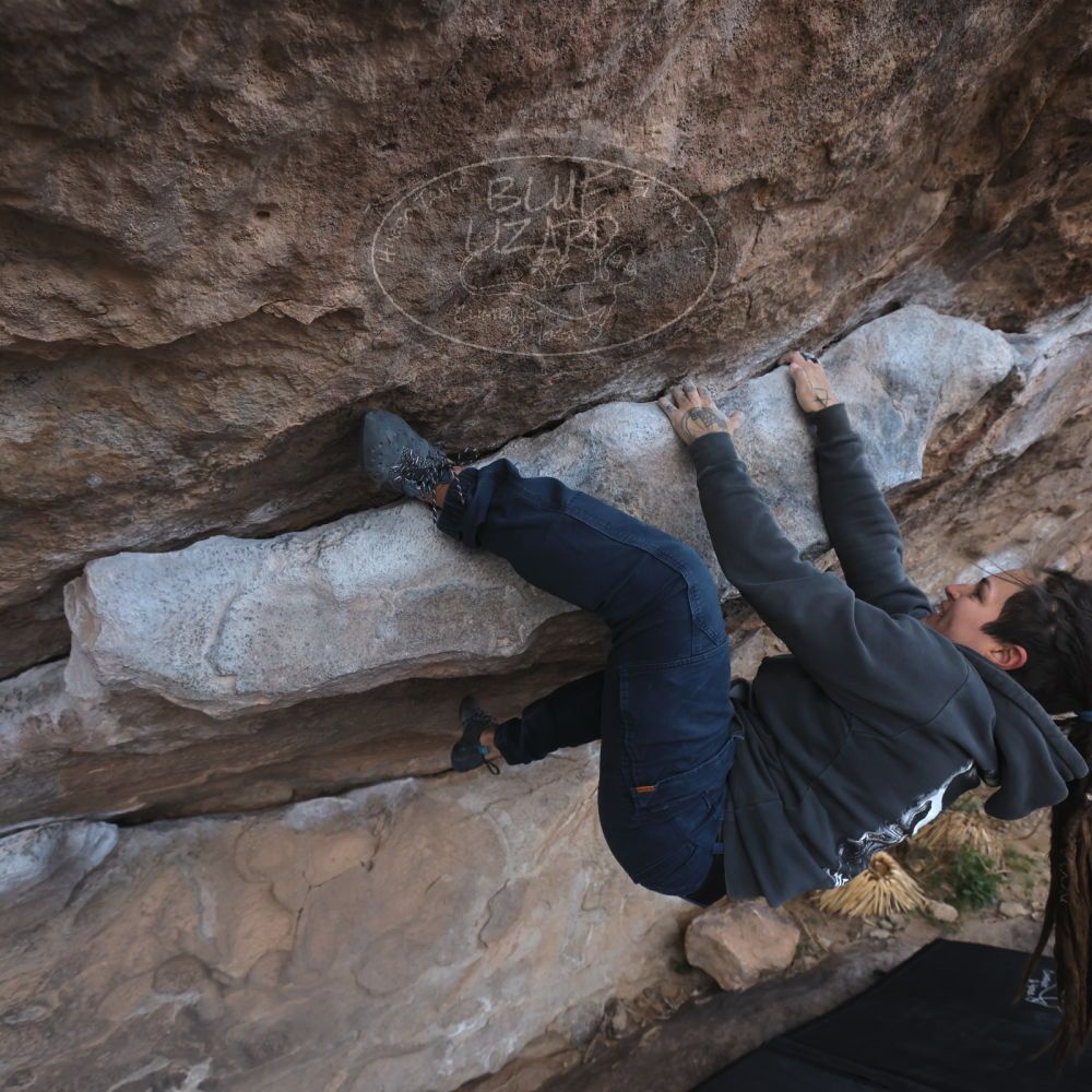 

Filename: SRM_20260307_0940060.jpg
Aperture: f/5.6
Shutter Speed: 1/500
Body: Canon EOS R6
Lens: Canon EF 16-35mm f/2.8 L