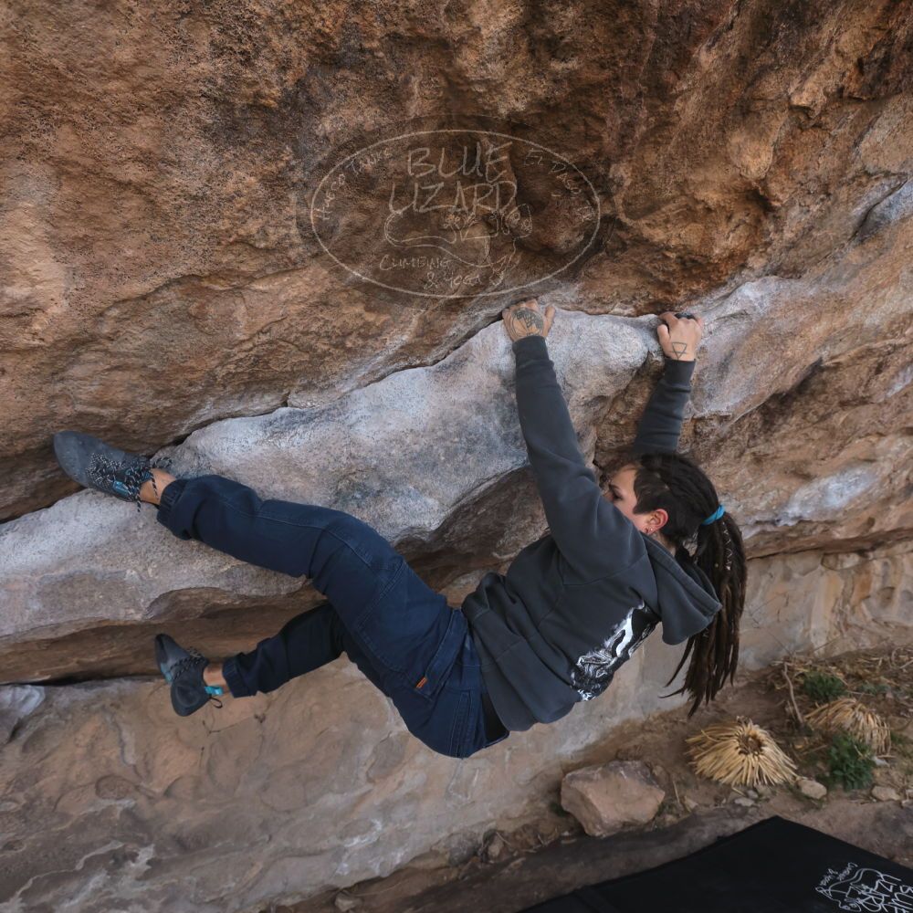 

Filename: SRM_20260307_0942440.jpg
Aperture: f/5.6
Shutter Speed: 1/500
Body: Canon EOS R6
Lens: Canon EF 16-35mm f/2.8 L