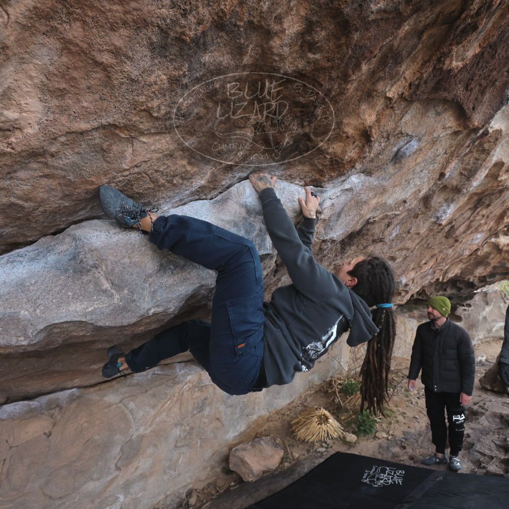 

Filename: SRM_20260307_0949110.jpg
Aperture: f/5.6
Shutter Speed: 1/500
Body: Canon EOS R6
Lens: Canon EF 16-35mm f/2.8 L