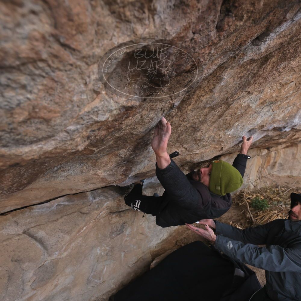 

Filename: SRM_20260307_0955092.jpg
Aperture: f/5.6
Shutter Speed: 1/500
Body: Canon EOS R6
Lens: Canon EF 16-35mm f/2.8 L