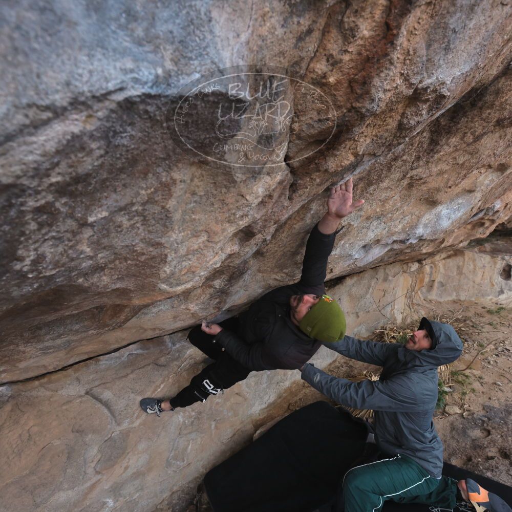 

Filename: SRM_20260307_0955500.jpg
Aperture: f/5.6
Shutter Speed: 1/500
Body: Canon EOS R6
Lens: Canon EF 16-35mm f/2.8 L