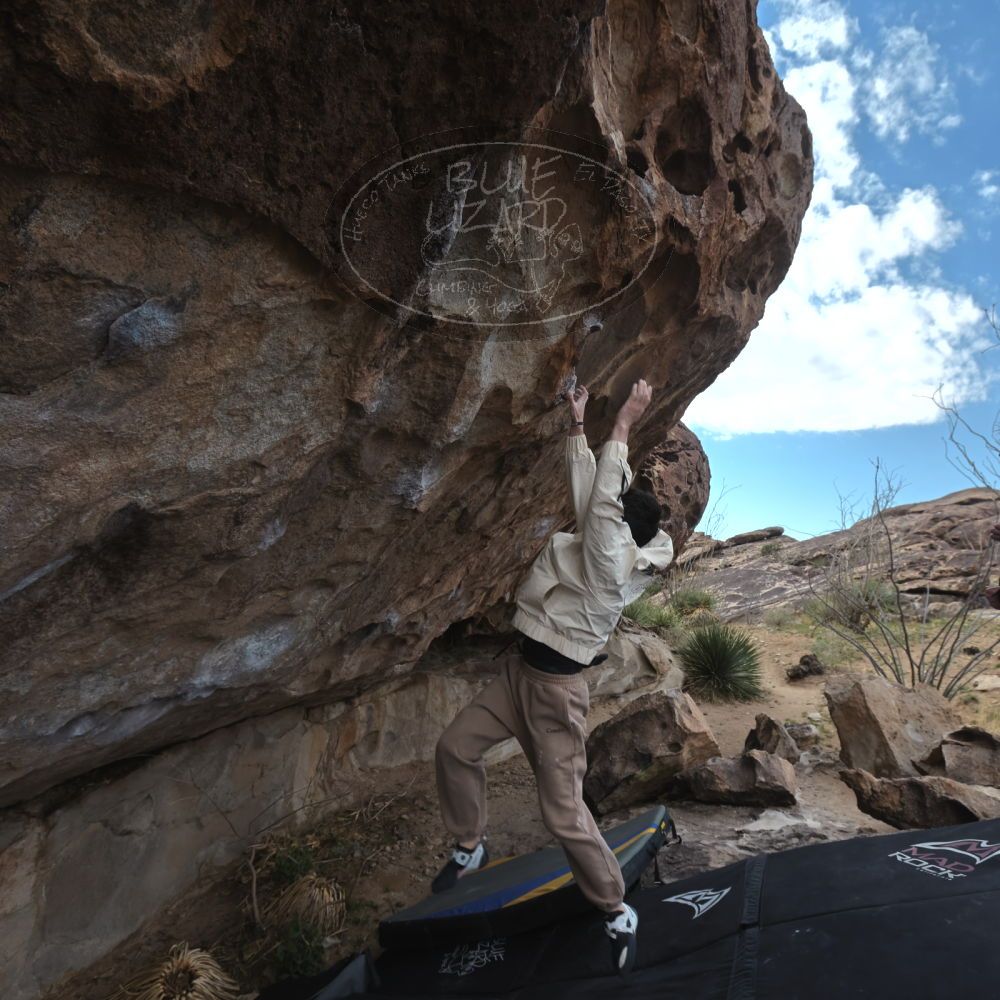 

Filename: SRM_20260307_1008091.jpg
Aperture: f/5.6
Shutter Speed: 1/500
Body: Canon EOS R6
Lens: Canon EF 16-35mm f/2.8 L